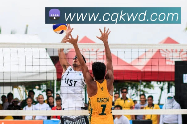 问鼎娱乐APP 封面图