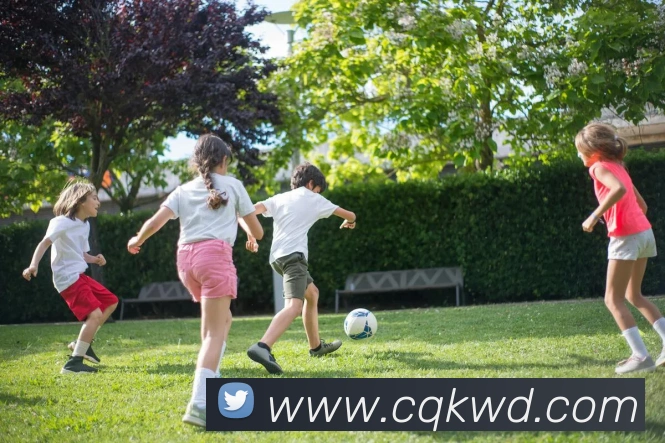 数据防护可视化